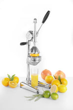 Afbeelding in Gallery-weergave laden, Handmatige citruspers