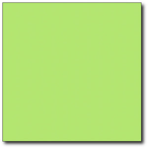 Servetten N40/2 P2P summergreen 1000 st.