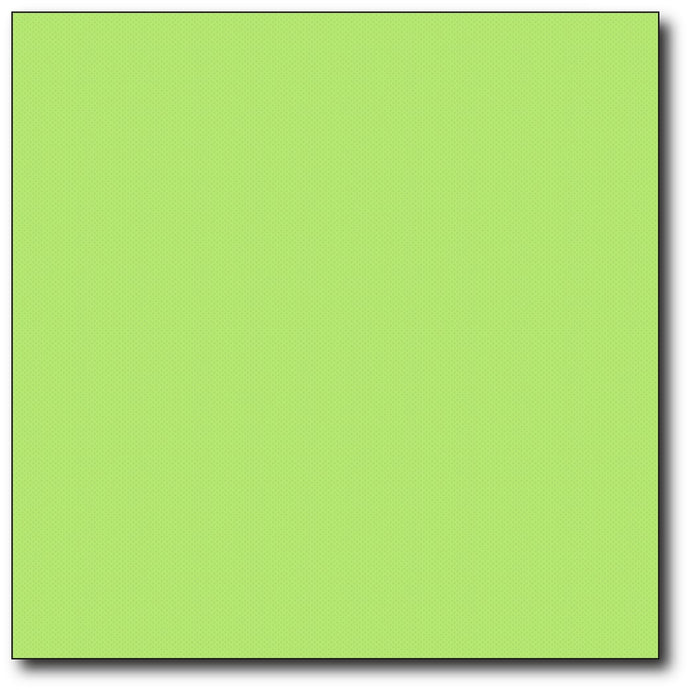 Servetten N40/2 P2P summergreen 1000 st.