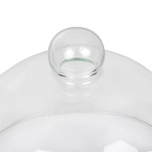 Glazen cloche 21cm