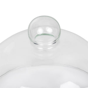 Glazen cloche 21cm