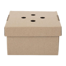 Afbeelding in Gallery-weergave laden, Fiesta Composteerbare Uitklapbare Hamburgerdozen (100 Stuks)