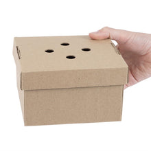 Afbeelding in Gallery-weergave laden, Fiesta Composteerbare Uitklapbare Hamburgerdozen (100 Stuks)