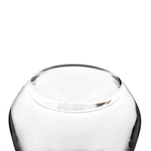 Afbeelding in Gallery-weergave laden, Olympia Mendoza Tumblers 345ml (Pack Van 6)