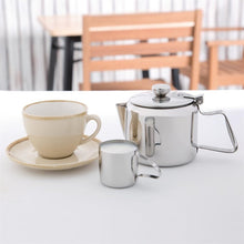 Afbeelding in Gallery-weergave laden, Olympia Concorde RVS theekan 560ml