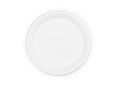 Ecologisch dinner bord 500st P005